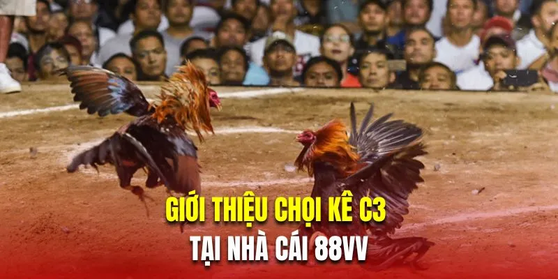 Giới thiệu chọi kê C3 tại nhà cái 88VV