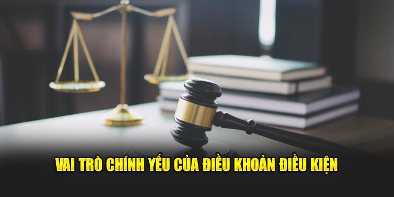 Vai trò chính yếu của điều khoản điều kiện